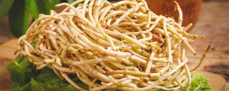 鱼腥草怎么盆栽 鱼腥草怎么盆栽视频