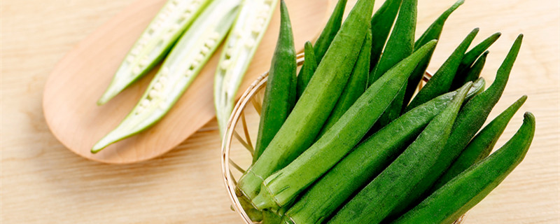 秋葵怎么种植方法（秋葵怎么种植方法 季节）