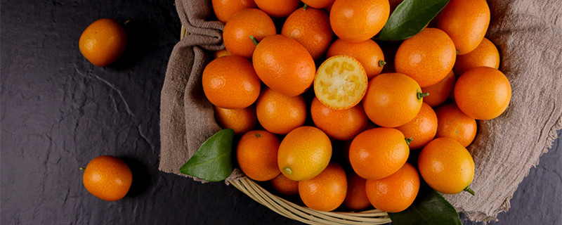 金桔树的养殖方法（金桔树的养殖方法和注意事项怎样修剪）