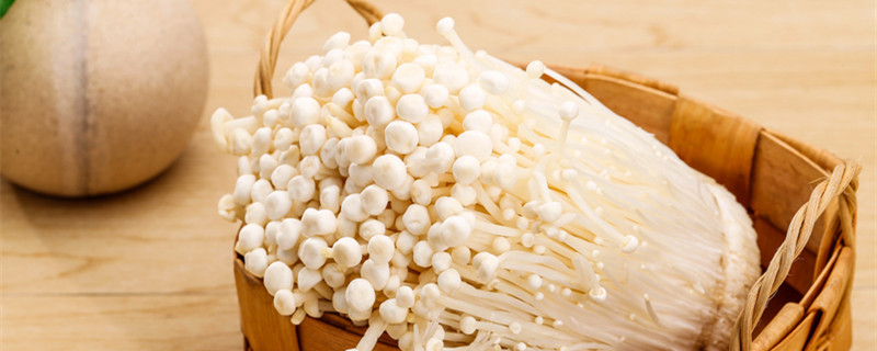 金针菇的根怎么种植 金针菇的根怎么种植视频