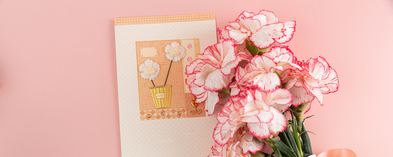 康乃馨可以分株吗 康乃馨怎么分枝种