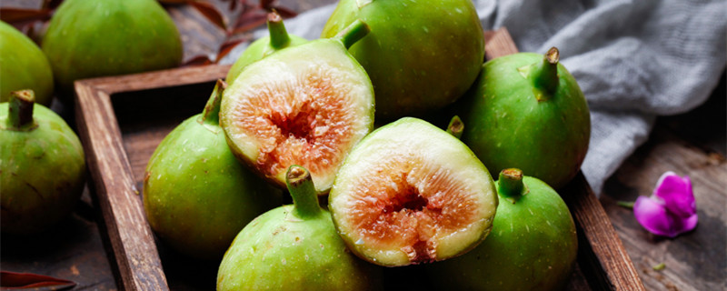 无花果零下几度会冻死（无花果什么温度下冻死）