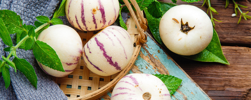 人参果怎么种植 人参果怎么种植人参果树