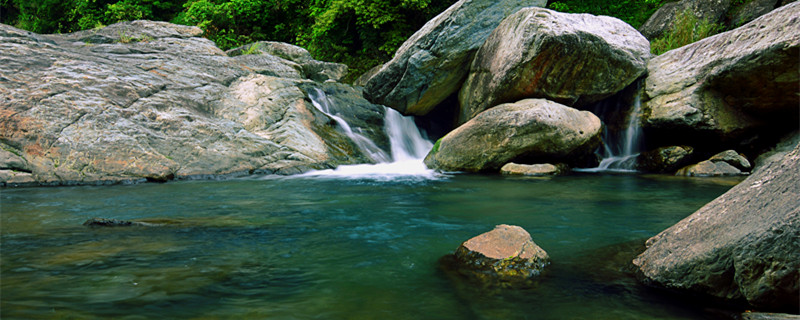 水绵是什么生物（水绵是什么生物真核还是原核）