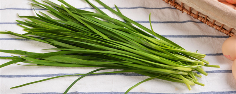 韭菜六月份能移栽吗（韭菜四月份可以移栽）