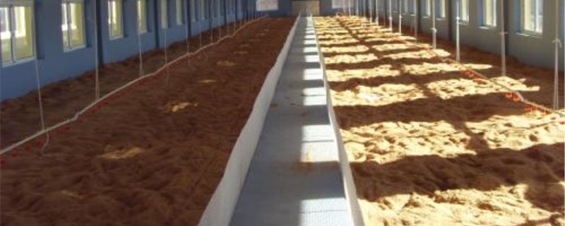 家庭自制发酵床鸡笼的方法 自制阳台发酵床鸡笼