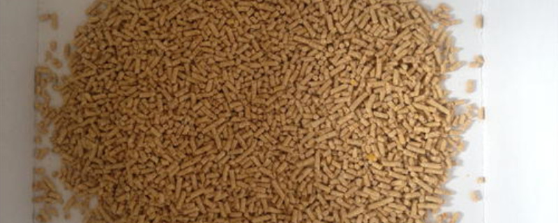 鸟饲料配方 创魔鸟饲料配方