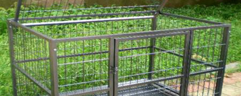 怎样在家自己建鸡笼（自己在家怎样做鸡笼子）