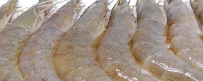 基围虾养殖方法（基围虾养殖注意事项）