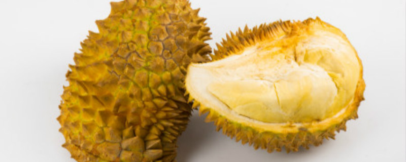 榴莲苗冬天怎样越冬（北方盆栽榴莲如何越冬）