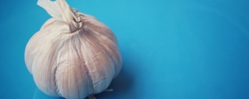 蒜头什么时候可以采收 蒜头什么时候可以采收