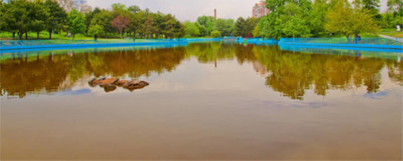 龙虾塘水浑浊怎么办 虾塘水浑浊怎么处理