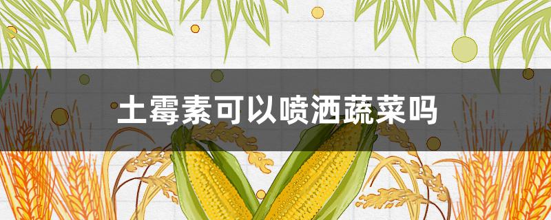 土霉素可以喷洒蔬菜吗