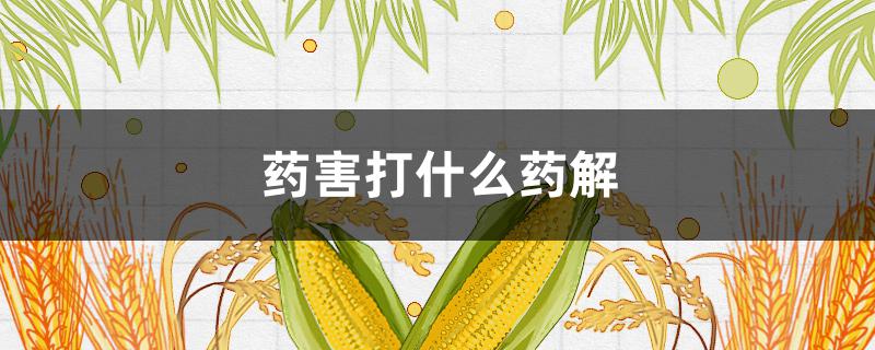 药害打什么药解