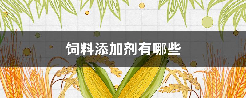 饲料添加剂有哪些 新型饲料添加剂有哪些