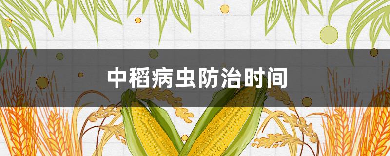 中稻病虫防治时间 中稻病虫防治时间上午打药好还是下午打药好