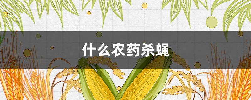 什么农药杀蝇 杀果蝇用什么农药