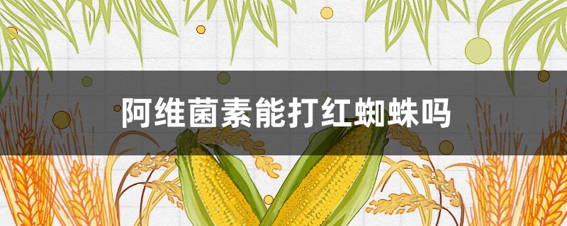 阿维菌素能打红蜘蛛吗