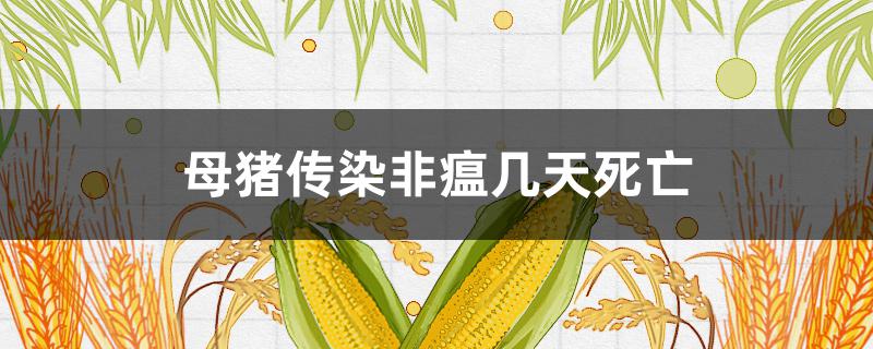 母猪传染非瘟几天死亡 母猪得非洲猪瘟几天死亡