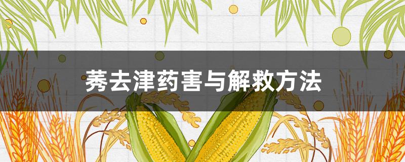 莠去津药害与解救方法（莠去津怎么解药效）