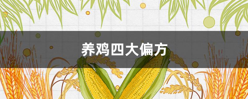 养鸡四大偏方 养鸡小偏方