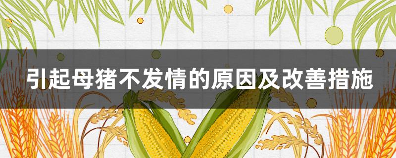 引起母猪不发情的原因及改善措施 母猪母猪不发情的原因及解决办法