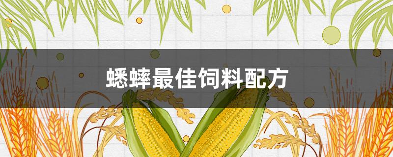 蟋蟀最佳饲料配方（蟋蟀的饲料配方）