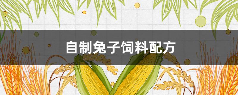 自制兔子饲料配方 自制兔子饲料配方节约成本