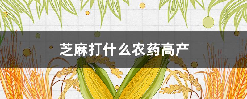 芝麻打什么农药高产