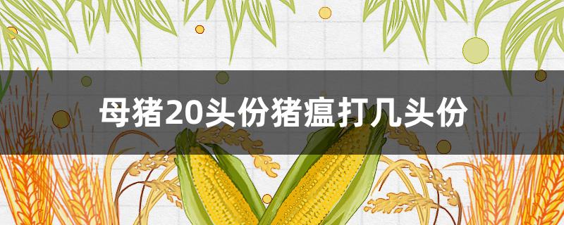 母猪20头份猪瘟打几头份（二十头份的猪瘟苗母猪打多少头份）