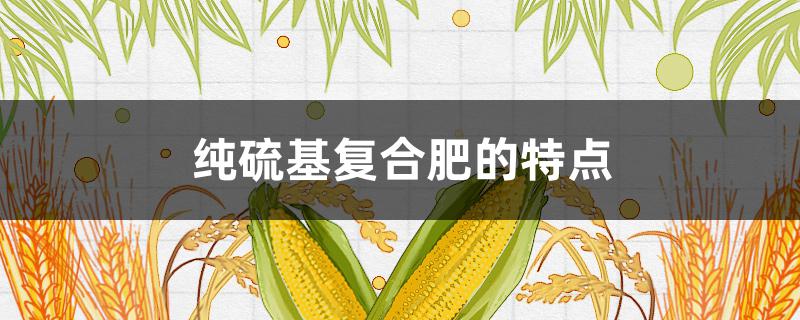 纯硫基复合肥的特点