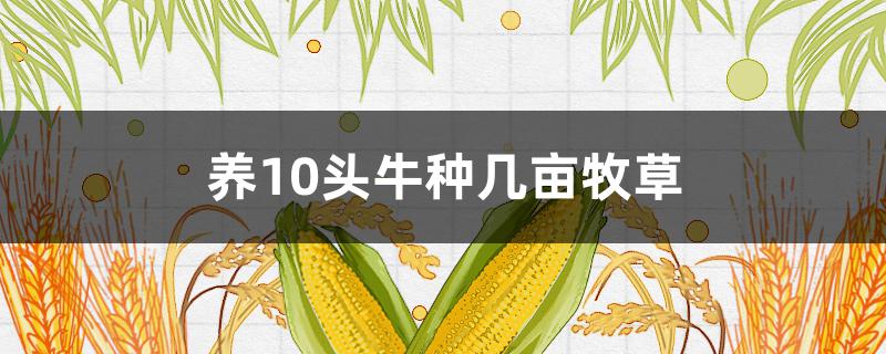 养10头牛种几亩牧草（养10头牛种几亩牧草循环）
