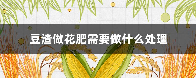 豆渣做花肥需要做什么处理 豆渣做花肥需要做什么处理