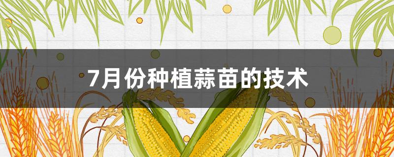 7月份种植蒜苗的技术