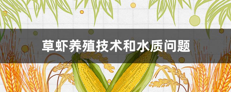 草虾养殖技术和水质问题（养殖草虾有什么技术要求）