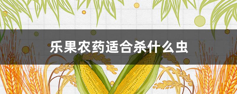 乐果农药适合杀什么虫