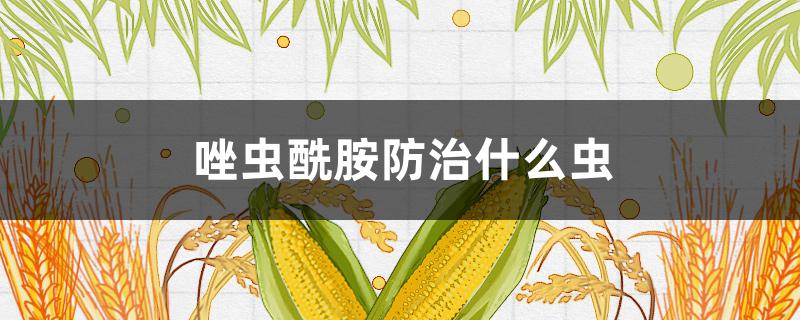 唑虫酰胺防治什么虫