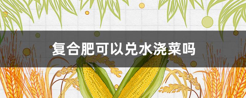复合肥可以兑水浇菜吗