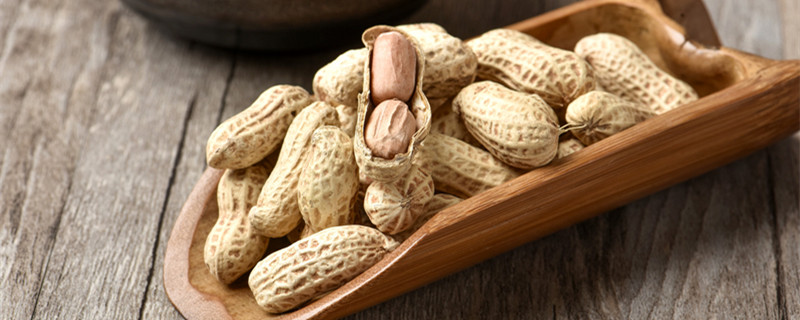 花生长太高了怎么办 花生长的太高了怎么办