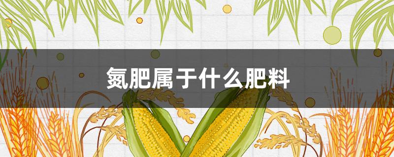 氮肥属于什么肥料