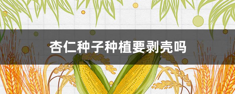 杏仁种子种植要剥壳吗