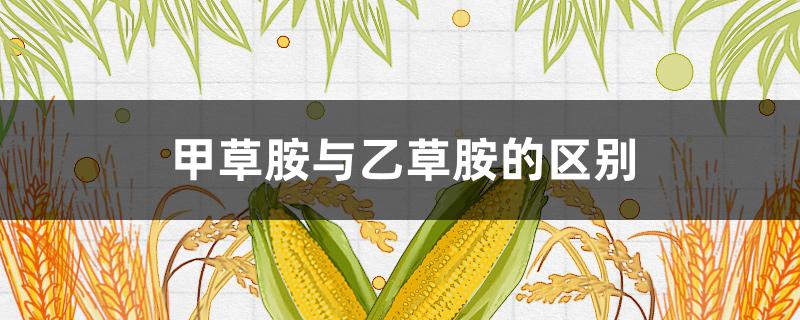 甲草胺与乙草胺的区别