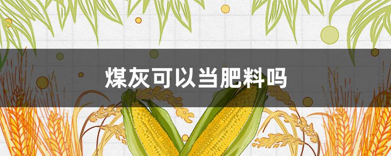 煤灰可以当肥料吗 煤渣煤灰能做肥料吗