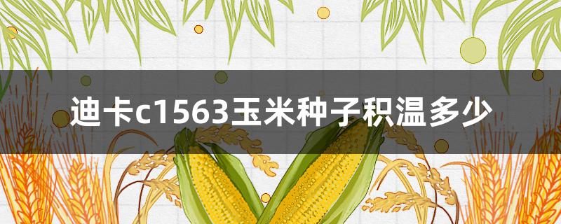 迪卡c1563玉米种子积温多少（玉米种迪卡1563积温是多少）
