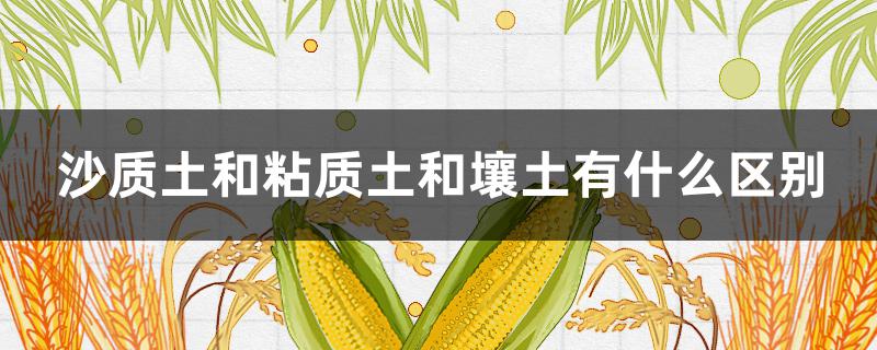 沙质土和粘质土和壤土有什么区别 沙质土和粘质土和壤土有什么区别