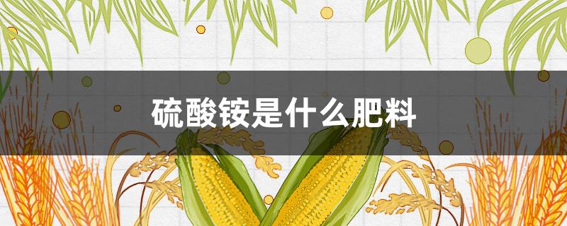 硫酸铵是什么肥料（硫酸铵是肥料吗）