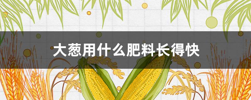 大葱用什么肥料长得快