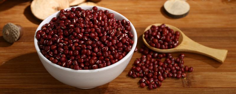 红豆的种植方法和时间（红豆的种植间距）