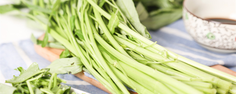 空心菜的种植方法 水培空心菜的种植方法