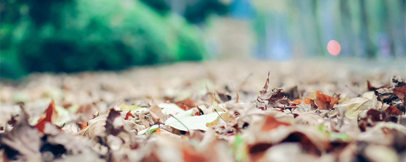 网上买的营养土可以直接种花吗 网上买的营养土可以直接种花吗?